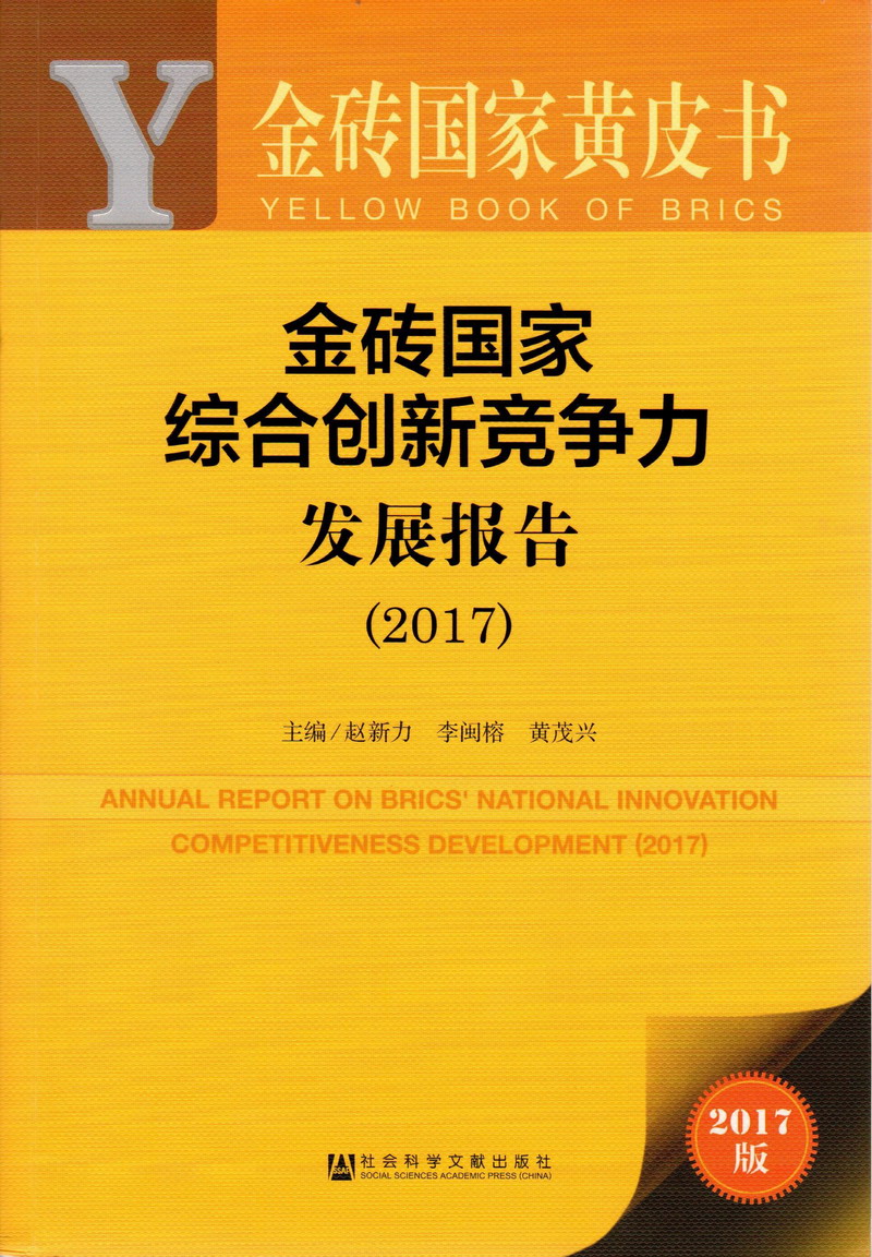 女生啊啊啊啊叫流水裸体操金砖国家综合创新竞争力发展报告（2017）